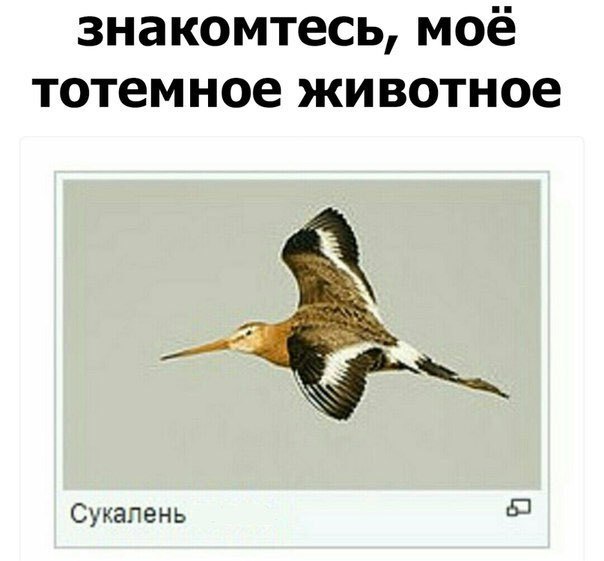 Закончил - оботри станок и сразу смотри картинок чуток!