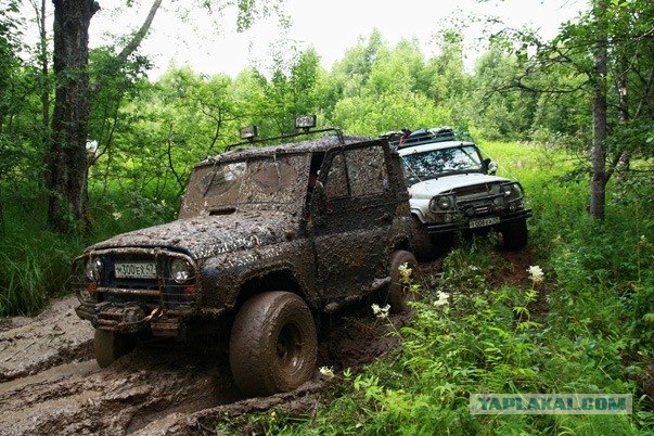 Проходимцы Веппского леса