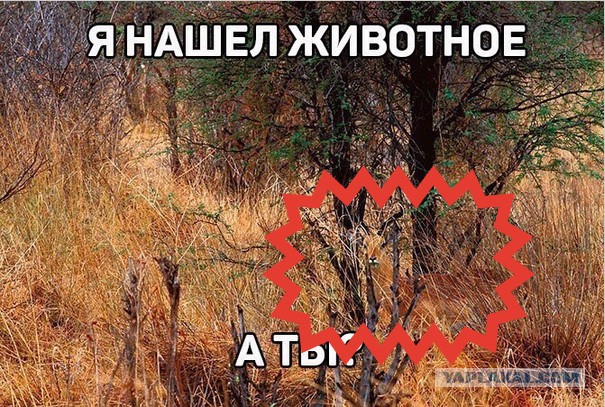 Немного картинок в эту субботу
