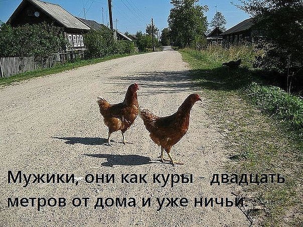 Странный юмор