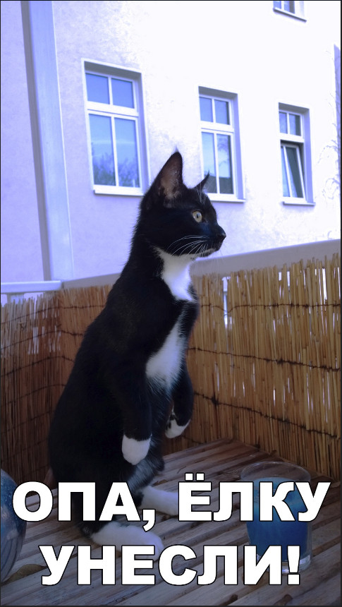 Немного милоты