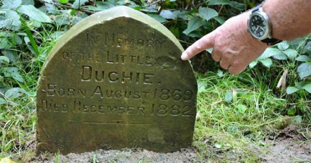 Британец нашёл в лесу 130-летнюю могилу. В ней похоронен не человек, а... кролик