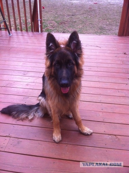 Костюм на Halloween