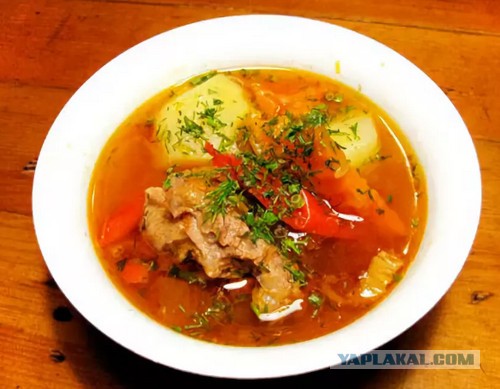 Шурпа обыкновенная, на природе