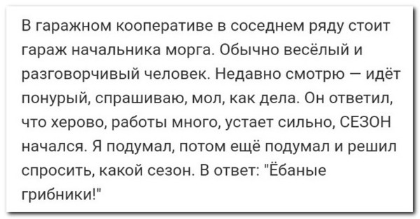 Грибники будте осторожны...Медведь убил грибника в Хабаровском крае