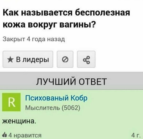 Что у них в голове...