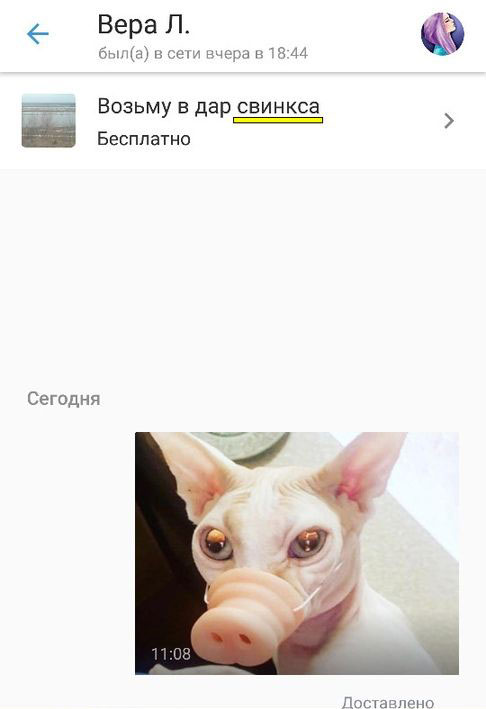 Чуток картинок 07.02.20.