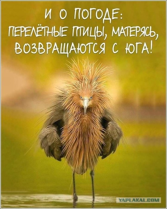 Мои четкие условия для женщины, которой нужен муж с зарплатой от 100 тысяч
