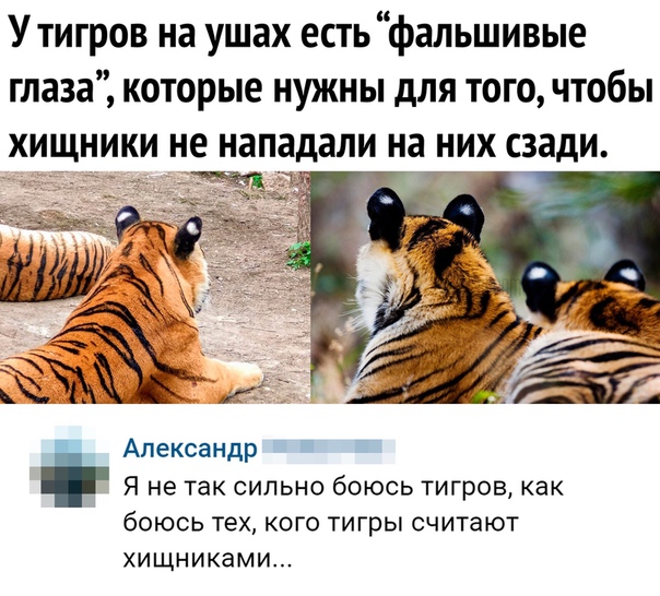 Пара-пара-пам! Фьють