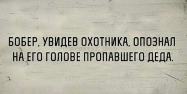 Фотки и картинки: юморные и красивые, забавные и милые 09.11.20