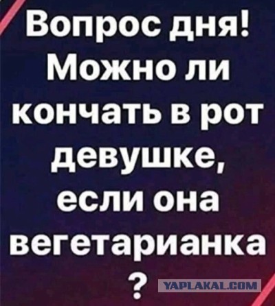 Бредзона 12.11.2020