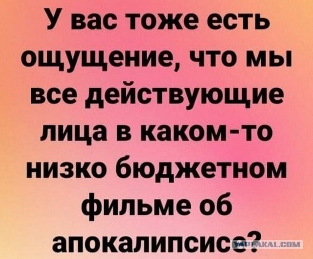 Пятница. И немного слегка пошлых картинок с надписями и без 16+ (20.11)