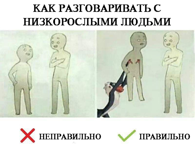 Дурацкие картинки