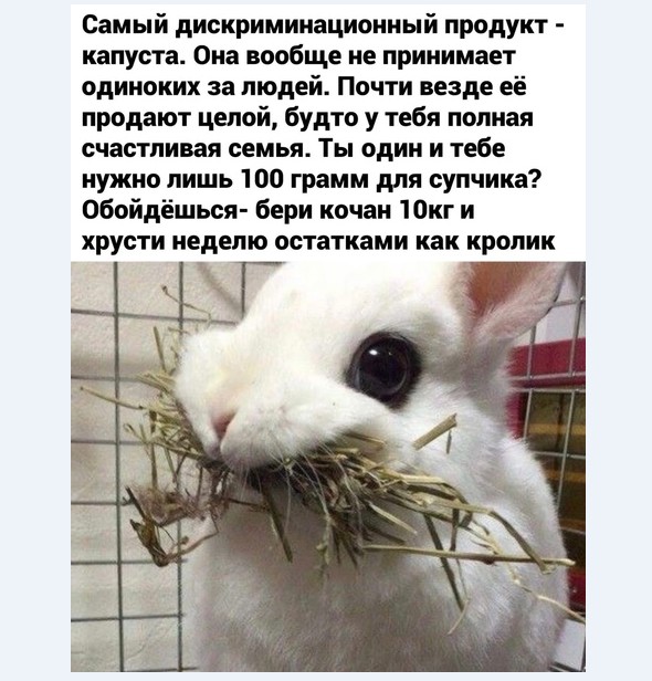 Картинки и мемы для настроения 015
