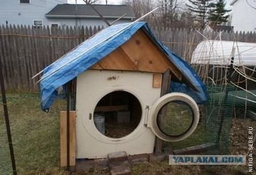 Тест-драйв двери