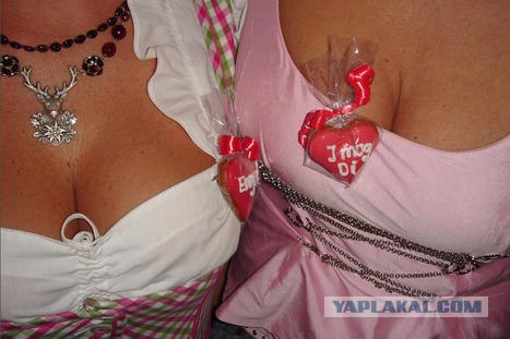 Октоберфест 2008