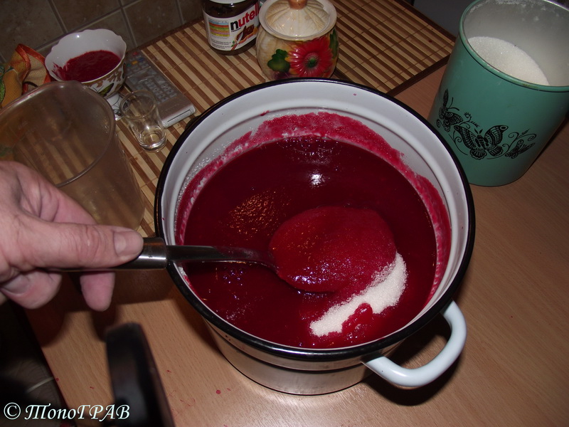 Калина через соковыжималку. Можно ли комбайном делать сок. Вишня через соковыжималку. Отжать сок из калины. Кухонный комбайн можно делать сок из яблок.