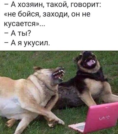 Картинки и мемы для настроения