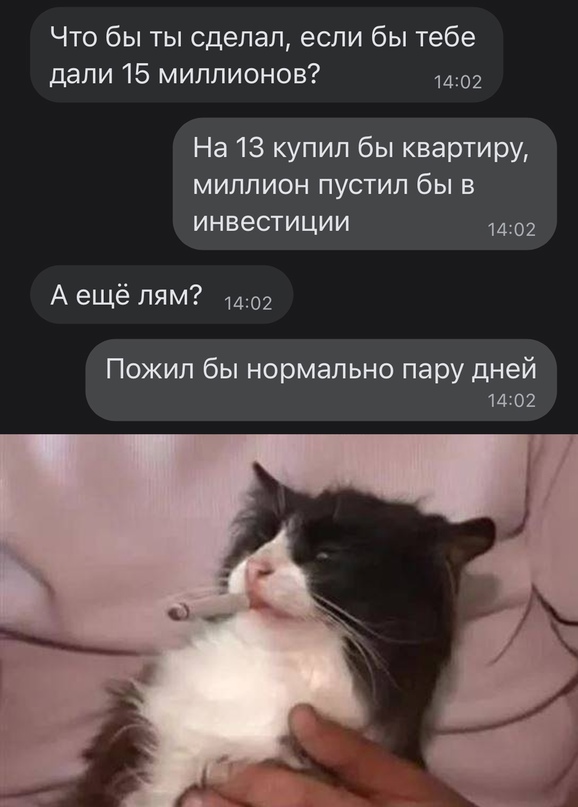 Весёлый полтишок 03.02