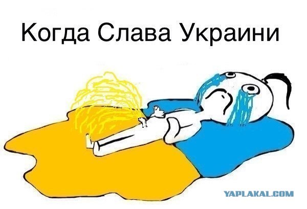 В Розовском районе Запорожья проголосовали за присоединение к ДНР.