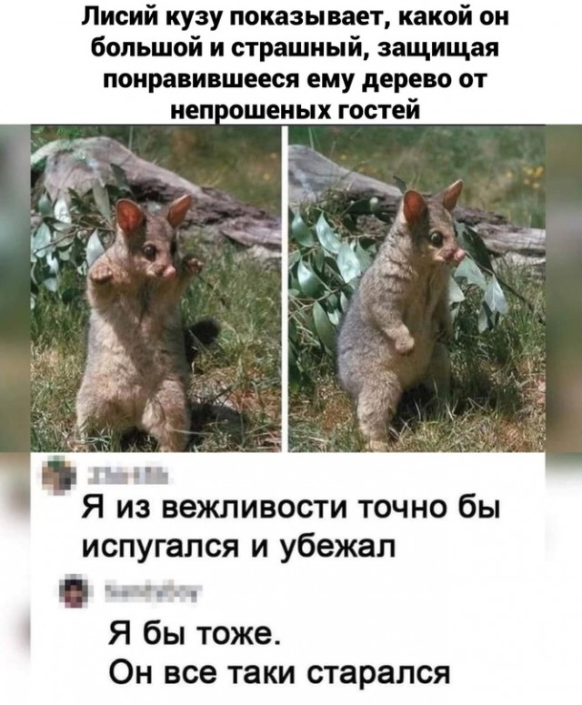 Картинки и мемы для настроения. Выходные близко...