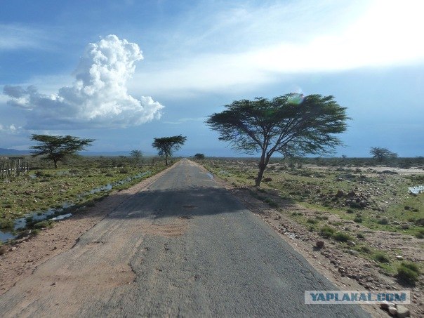 AFRICA - (Эфиопия,Кения,Танзация) 4-16 ноября 2011