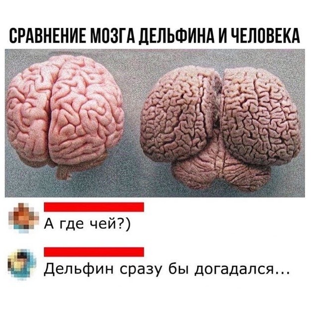 Вольфрамовых шаров псто