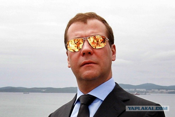 Медведев и кастрированные псы