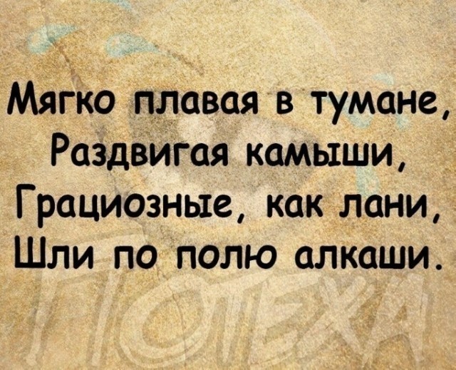 Картинки и мемы. Выходные близко...
