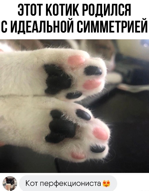 Забавные комментарии из социальных сетей (17.07.23)