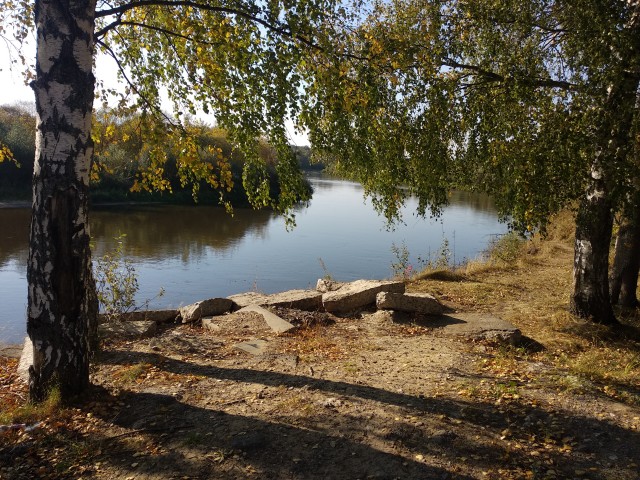 Красивые фото ЯПа