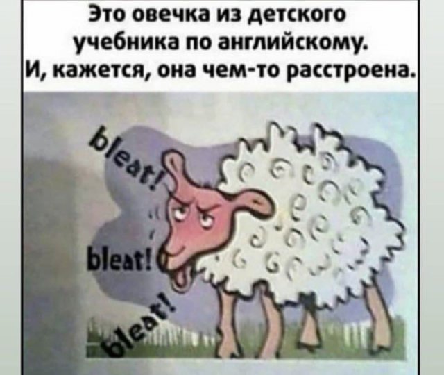 Среда пришла - неделя прошла, дорогие деграданты
