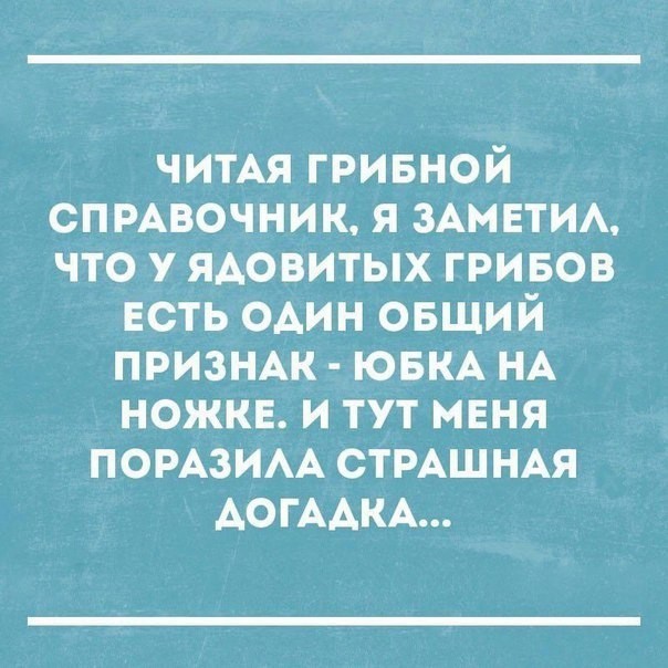 Кретинизмы из KV и KO 10-03-2024