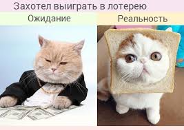 Ozoн, призы