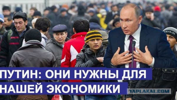 «Ставить на место приезжих» во Владивостоке будет отряд, состоящий из вернувшихся участников СВО