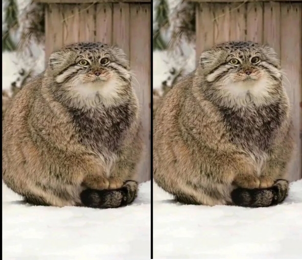 Я летом и я зимой