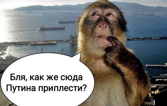 Креатив на Камчатке от безработного