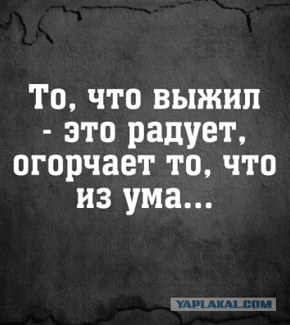 30 картинок на субботу