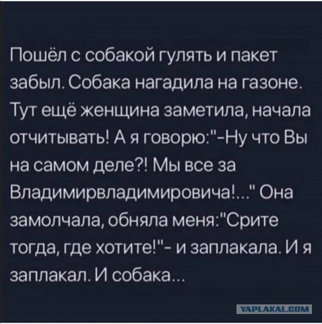 "– Здравствуйте! А это место выгула собак?  – Тебя е*ёт, что ли? Иди нах*й!"