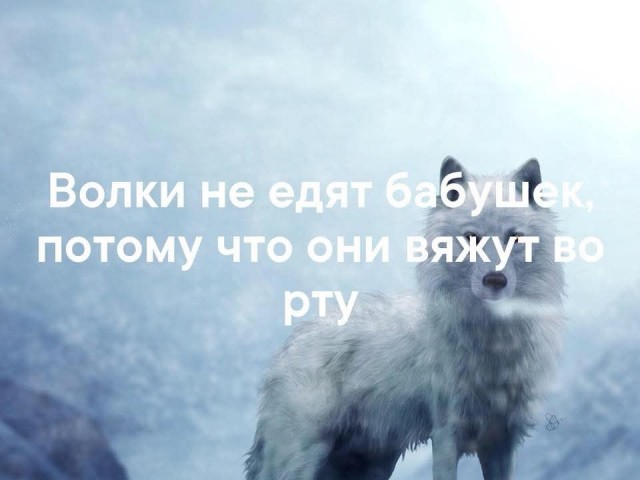 Поделитесь мнением, пожалуйста