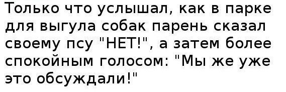 Веселые картинки в маленькую пятницу (13.08)