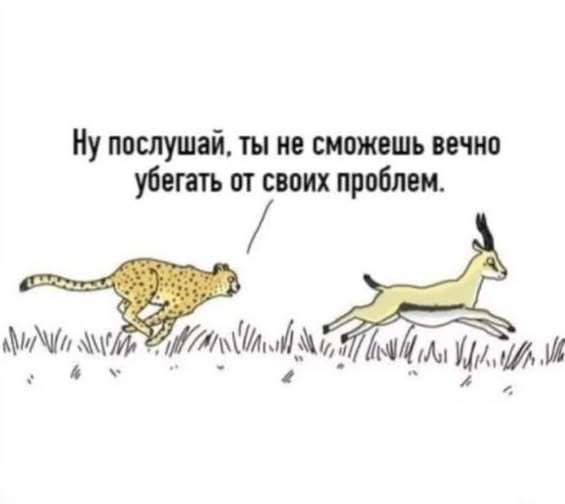 Веселые картинки в понедельник (27.10)