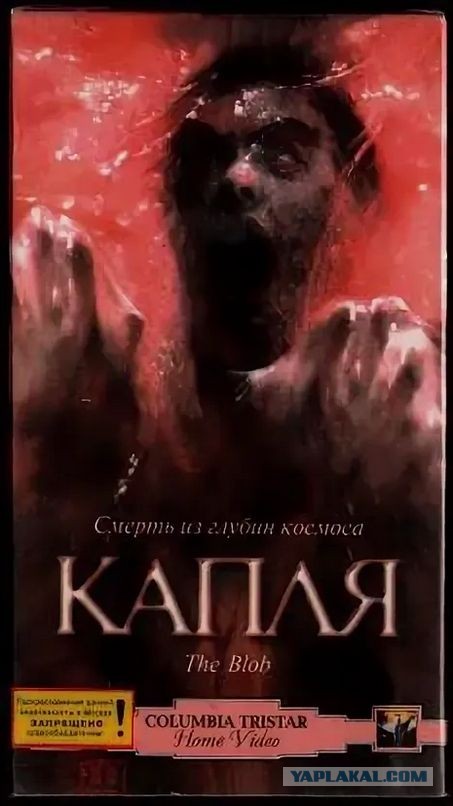 Забытые видеокассеты VHS, которые брали из видеопроката или у знакомых