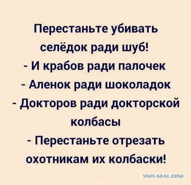 Наскрёб с древней флешки картинки.