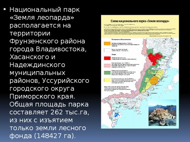 Котовторник