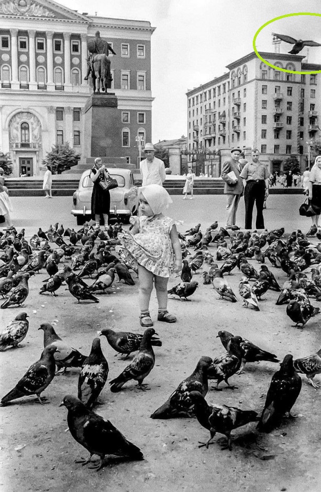 ​ Фотографии из прошлого нашей страны – 132