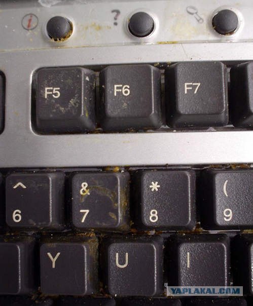 Пыль в компьютерах