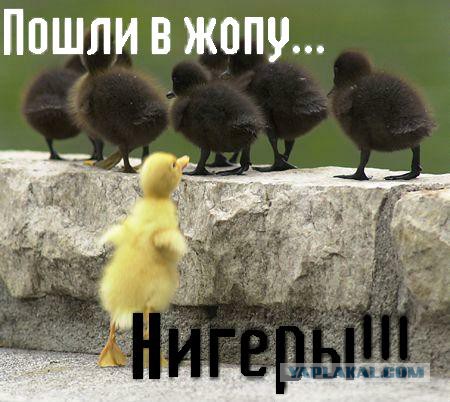 Миф о Манделе.