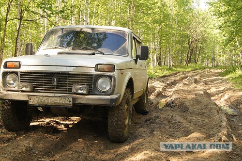 Повседневные автомобили, в которых есть душа.