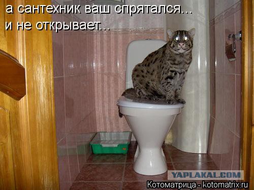 Весёлые картинки. Разбавим будни